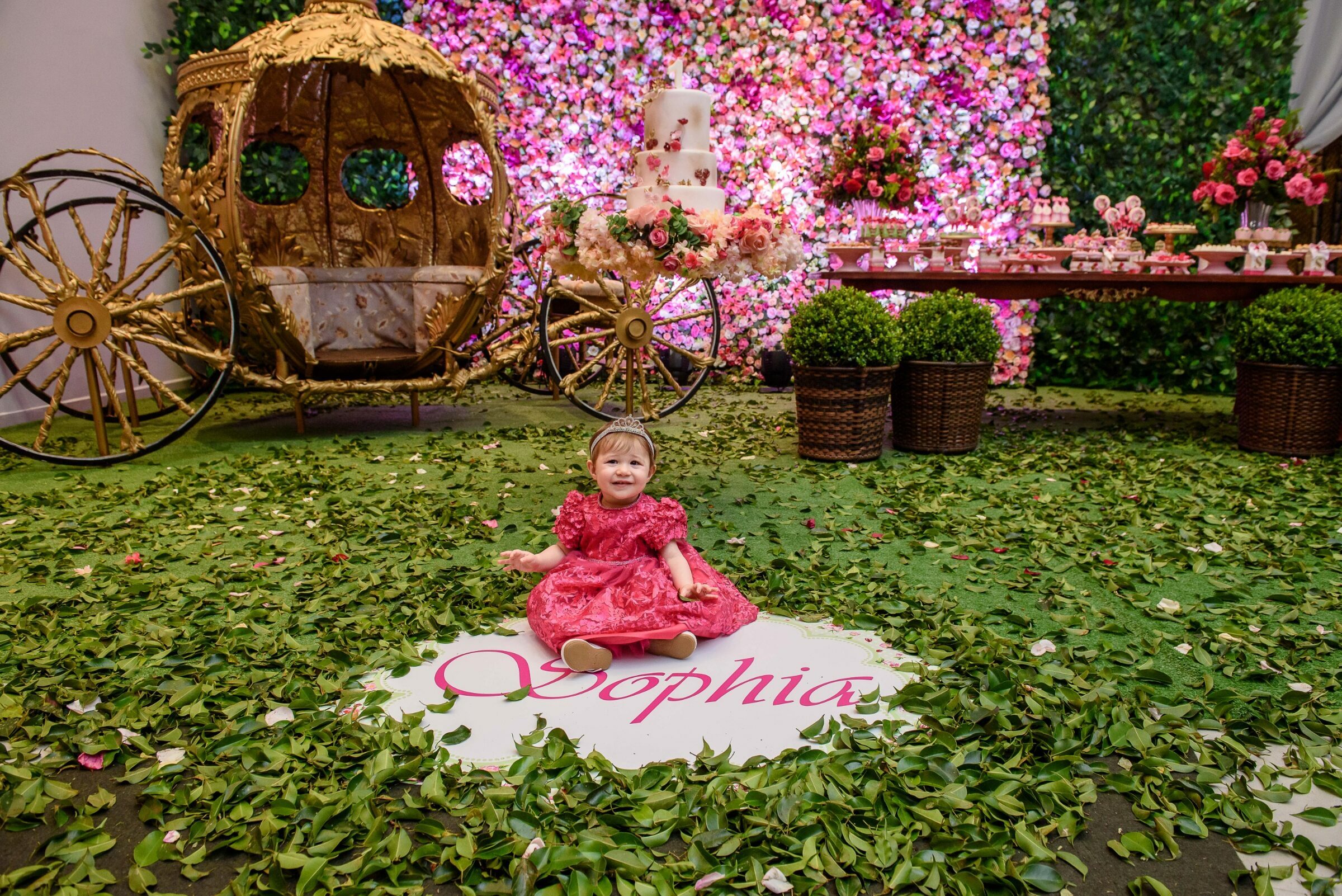 Foto de Gus Wanderley Fotografia 29