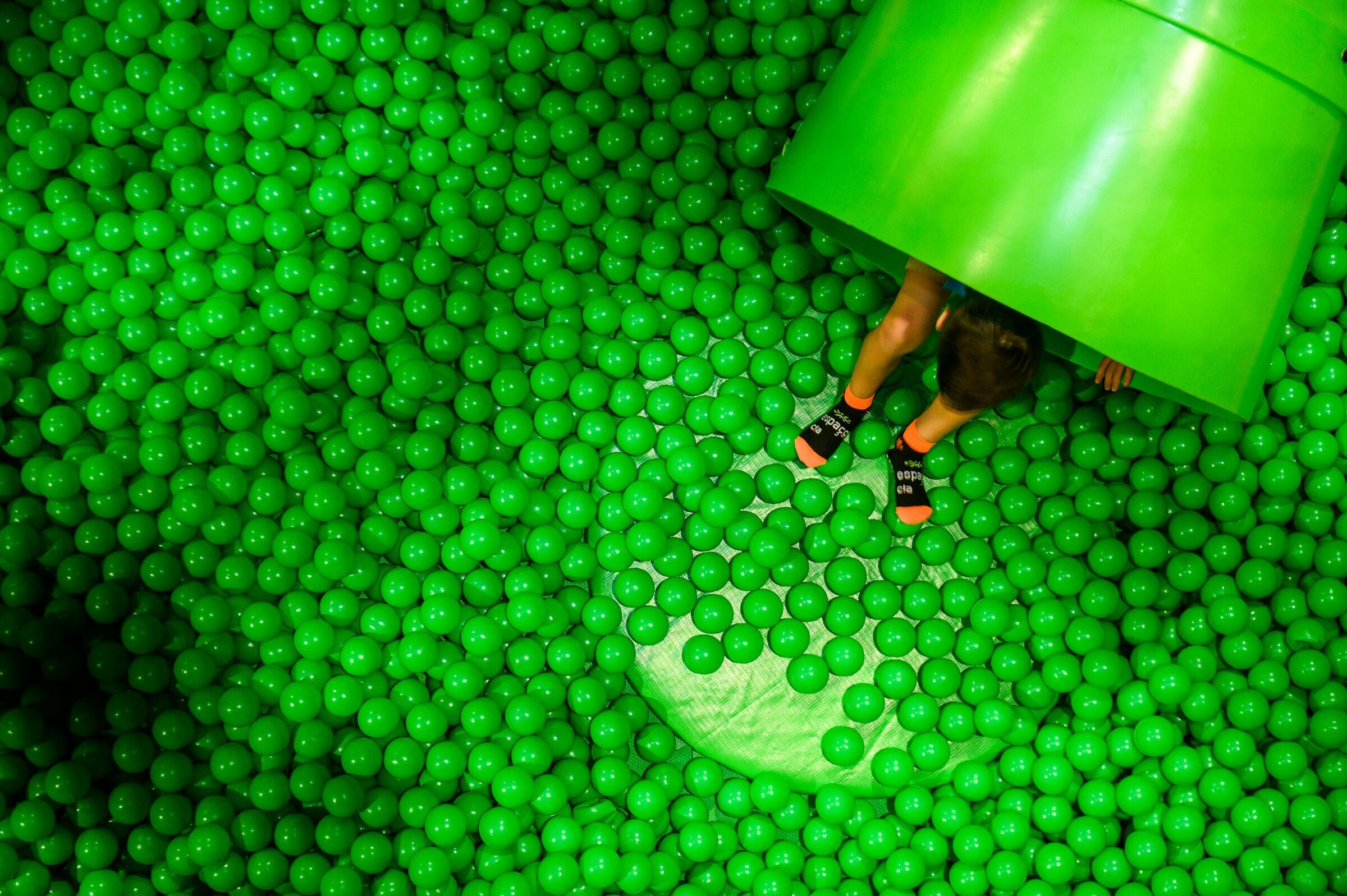 Foto de Gus Wanderley Fotografia 18