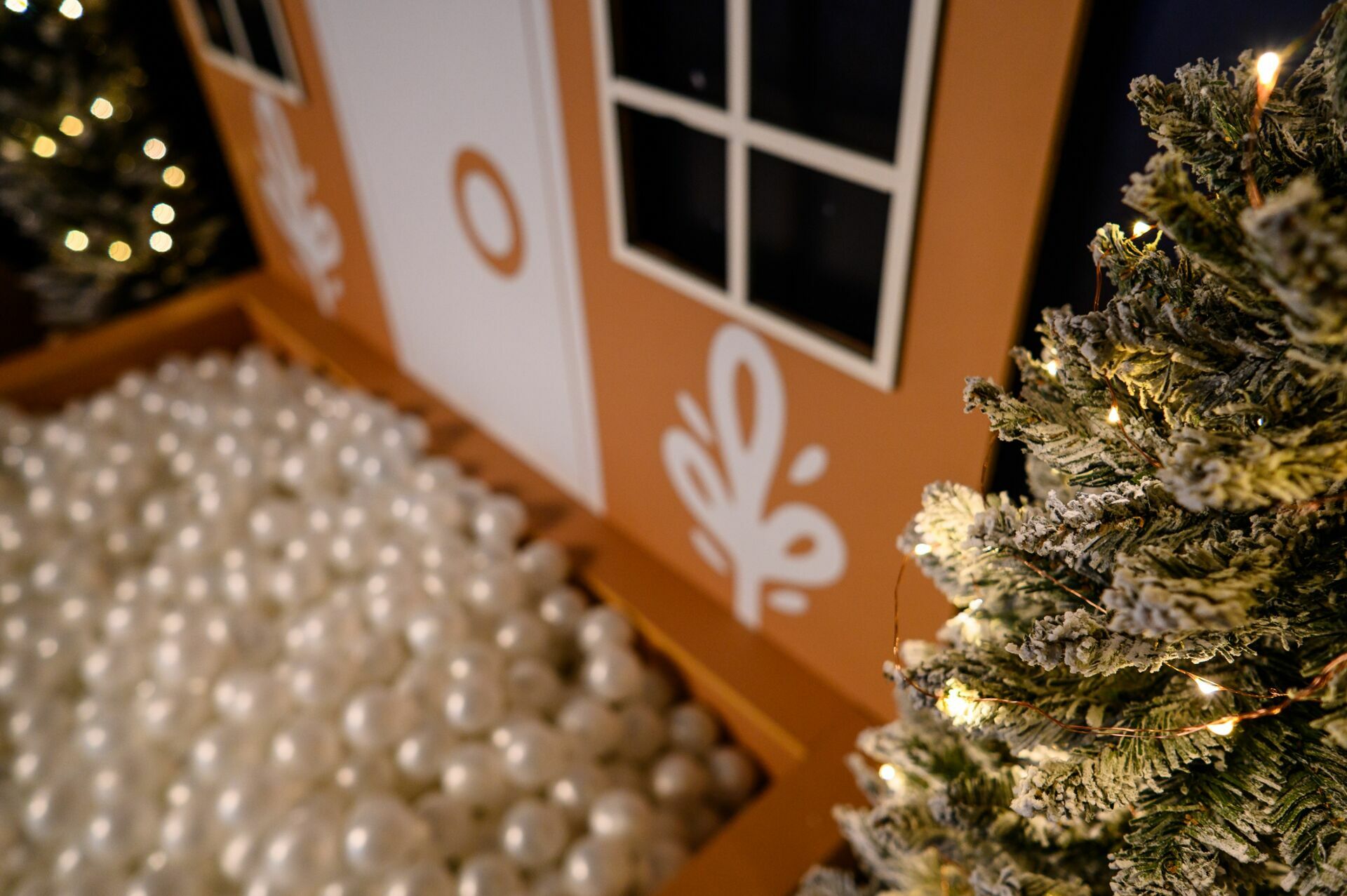 Foto Ensaio Fotográfico de Natal em Curitiba: magia, afeto e fotografia com alma - Imagem 13