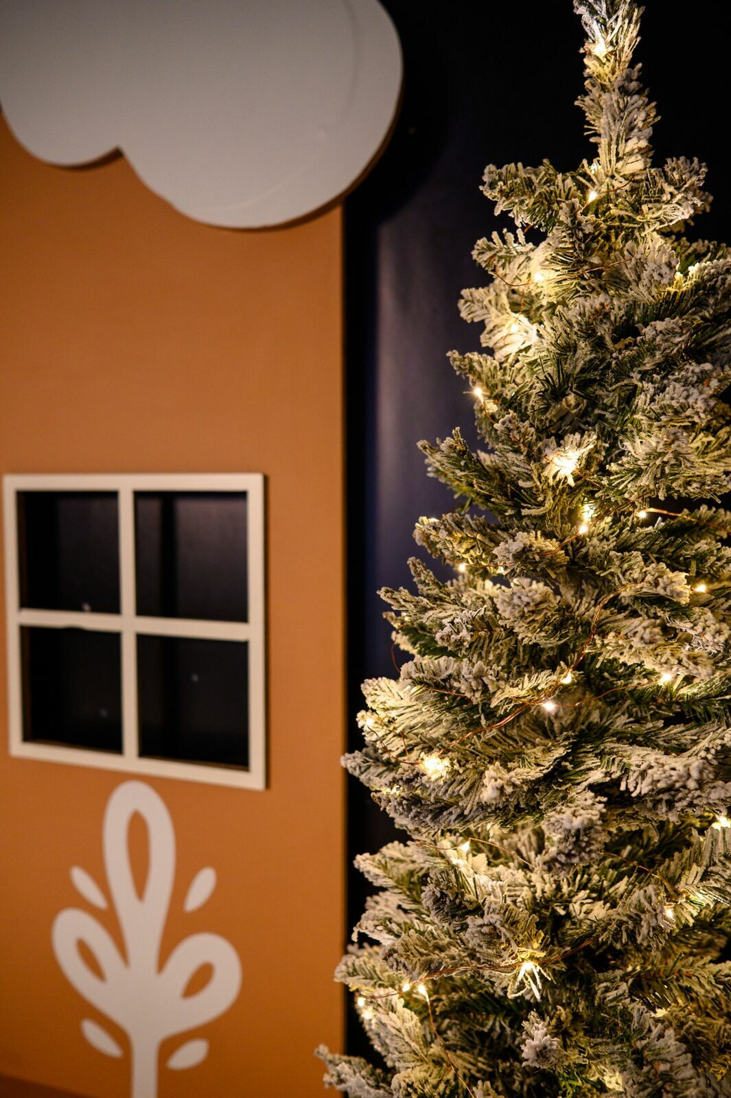 Foto Ensaio Fotográfico de Natal em Curitiba: magia, afeto e fotografia com alma - Imagem 12